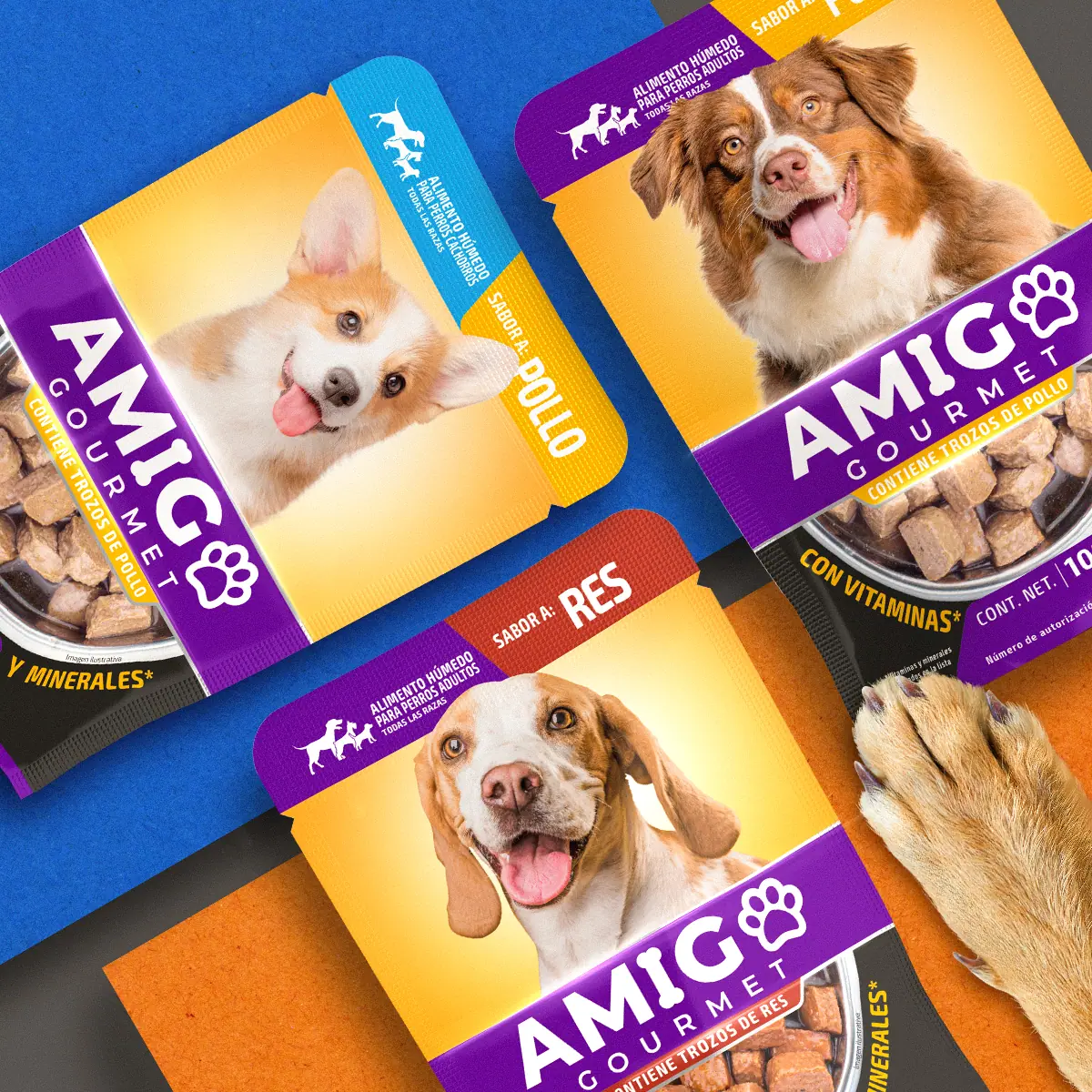 Proyecto de Packaging AMIGO