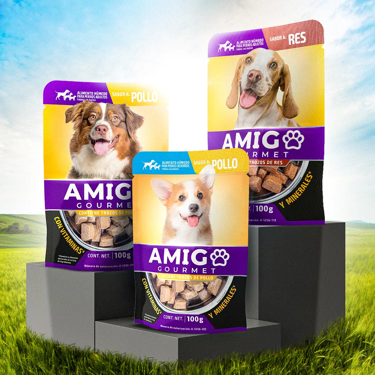 Diseño de packaging para Amigo Gourmet, Alimentos, México — aplicación 1.