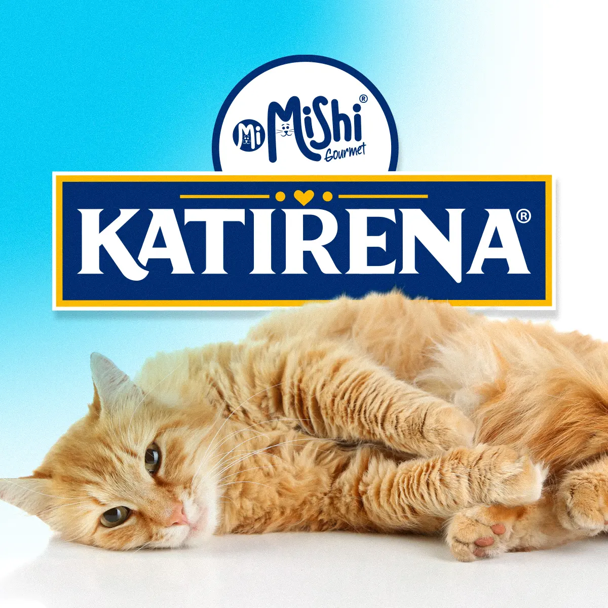 Diseño de packaging para Katirena, Cuidado de mascotas, México — aplicación 1.